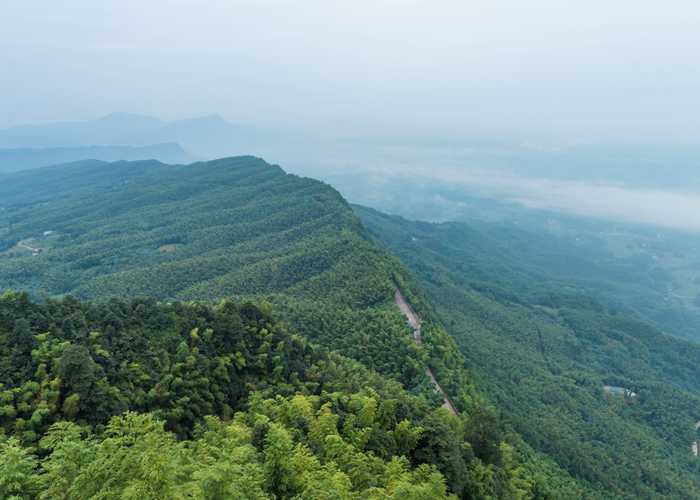 成都深度游，探索蜀地文化与美食-第3张图片-四川省中国青年旅行社